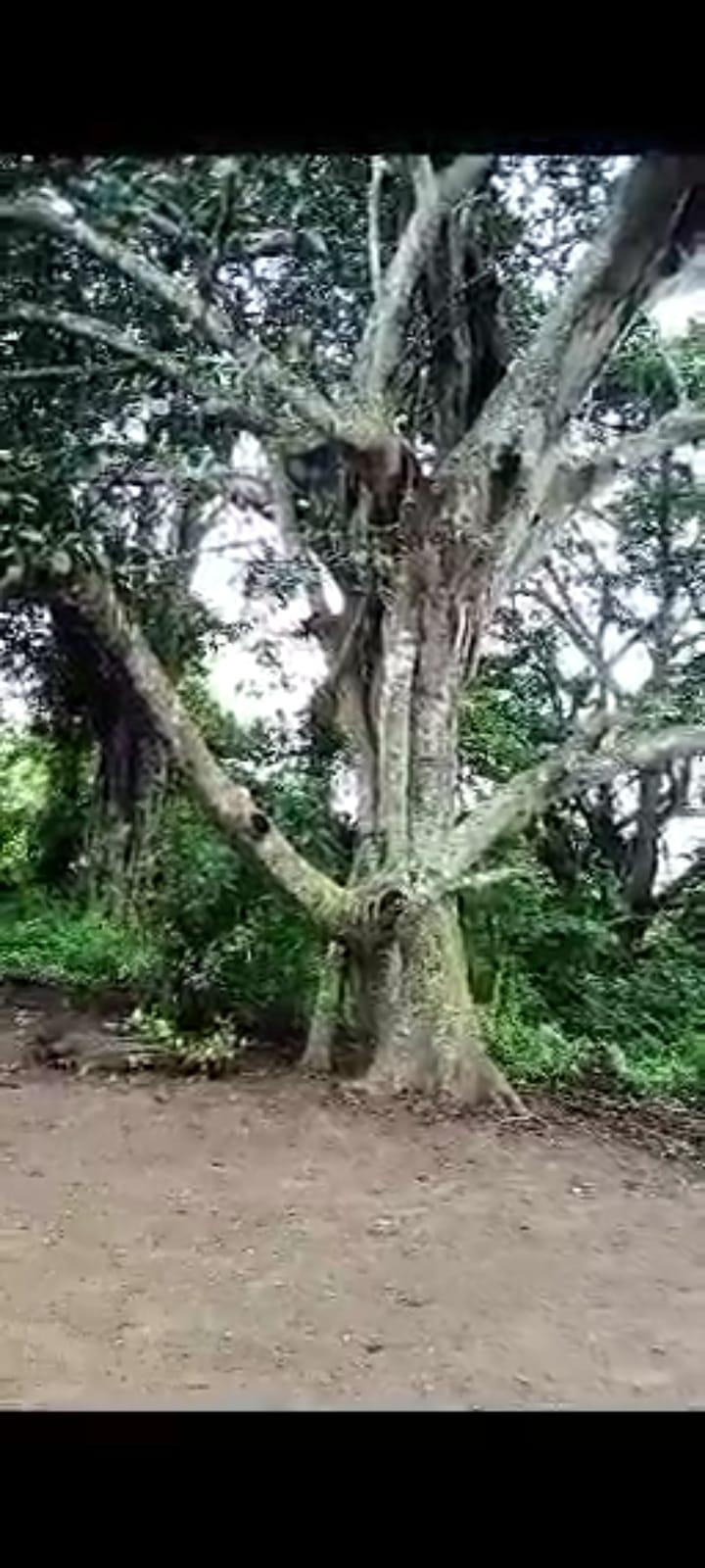Img 20250125 wa0002